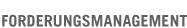 Forderungsmanagement